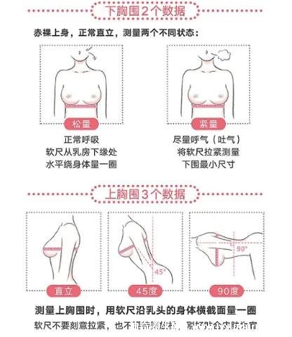 胸圍尺寸尺碼對照表，女生標(biāo)準(zhǔn)罩杯ABCD尺碼表(附測量方法)