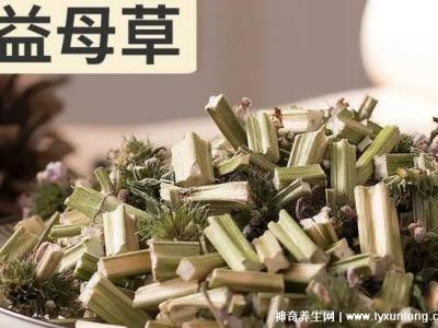 一天三袋益母草加速月經(jīng)，催姨媽神器(益母草顆粒)
