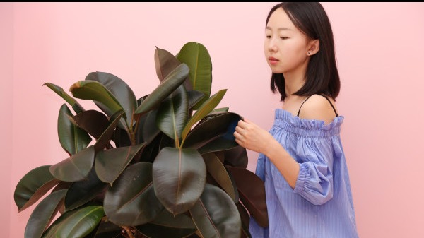 陰毛在性愛(ài)中的作用,成熟女性的陰毛特點(diǎn)