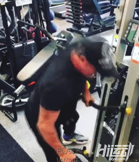 72歲史泰龍為新電影瘋狂訓(xùn)練，狀態(tài)驚人：年齡只是數(shù)字