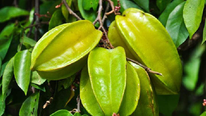 蜂蜜減肥食譜是常見的營(yíng)養(yǎng)品4種蜂蜜減肥食譜排毒養(yǎng)顏