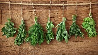 減肥妙招 有營(yíng)養(yǎng)的食物不增肥-易網(wǎng)健康<a href=http://m.aoa7937.com/jkys/ target=_blank class=infotextkey>養(yǎng)生</a>網(wǎng) 減肥妙招 有營(yíng)養(yǎng)的食物不增肥