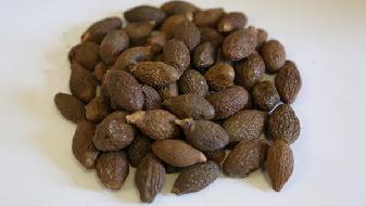不節(jié)食也能減肥,學(xué)這幾個(gè)方法即可-易網(wǎng)<a href=http://m.aoa7937.com/ target=_blank class=infotextkey>健康養(yǎng)生</a>網(wǎng) 不節(jié)食也能減肥,學(xué)這幾個(gè)方法即可