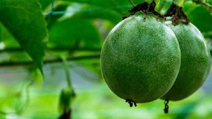 減肥吃什么效果好?推薦番茄雞蛋減肥法-易網(wǎng)健康<a href=http://m.aoa7937.com/jkys/ target=_blank class=infotextkey>養(yǎng)生</a>網(wǎng) 減肥吃什么效果好?推薦番茄雞蛋減肥法