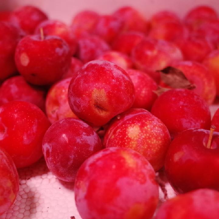 中藥美容減肥茶有什么?推薦這4款就能瘦身又滋補-易網健康<a href=http://m.aoa7937.com/jkys/ target=_blank class=infotextkey>養生</a>網 中藥美容減肥茶有什么?推薦這4款就能瘦身又滋補