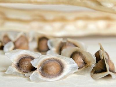 只吃菜不吃米飯能減肥嗎？小心越減越肥