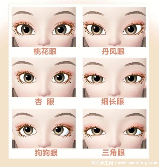 二十種眼形大全圖解，杏眼/狗狗眼/混血眼非常有特點(diǎn)