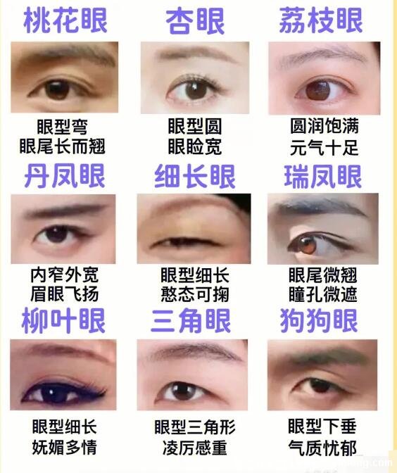 二十種眼形大全圖解，杏眼/狗狗眼/混血眼非常有特點(diǎn)