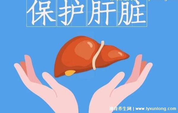 肝臟最怕三個運動脂肪肝，慢跑/瑜伽/游泳(附養肝第一水果)