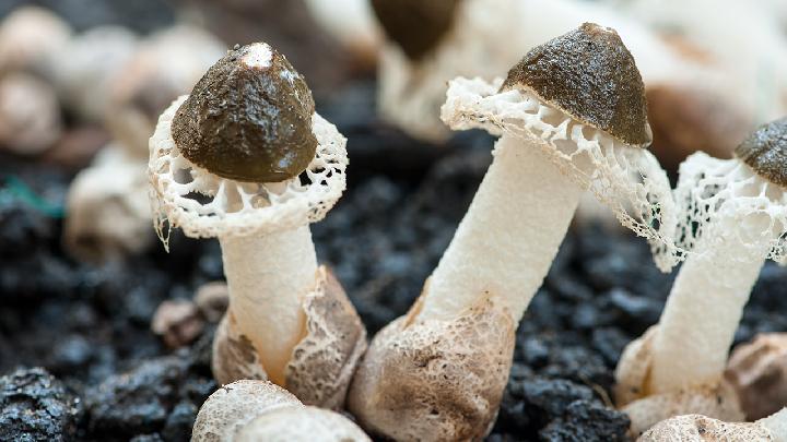 月經一周后減肥方法有哪些?經期過后如何減肥?-易網健康<a href=http://m.aoa7937.com/jkys/ target=_blank class=infotextkey>養生</a>網 月經一周后減肥方法有哪些?經期過后如何減肥?