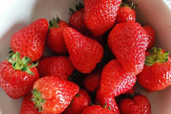 草莓吃多了會(huì)胖嗎