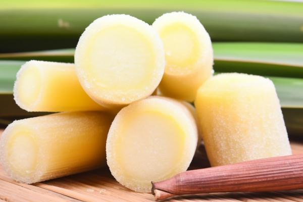 減肥的人能吃甘蔗嗎