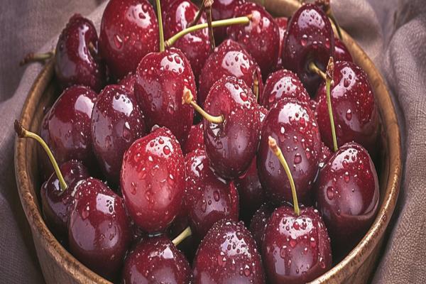 車厘子熱量高嗎減肥期間能吃嗎-易網健康<a href=http://m.aoa7937.com/jkys/ target=_blank class=infotextkey>養生</a>網 車厘子熱量高嗎減肥期間能吃嗎