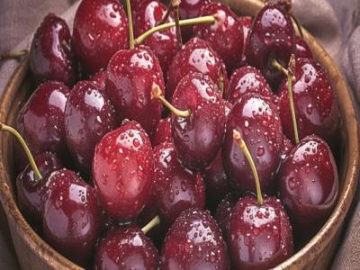 車(chē)?yán)遄訜崃扛邌釡p肥期間能吃嗎