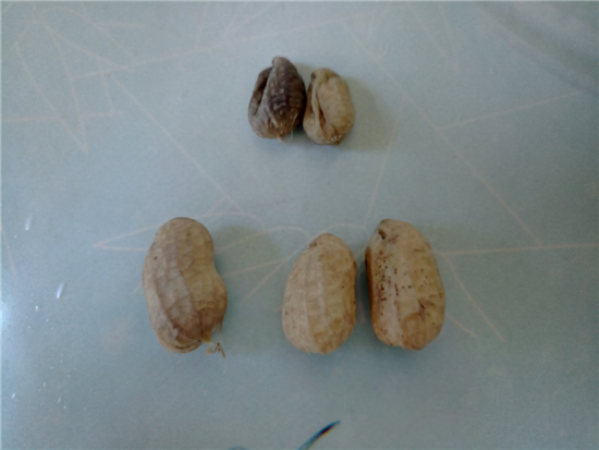 鹽水花生的做法-家常味煮菜譜-易網<a href=http://m.aoa7937.com/ target=_blank class=infotextkey>健康養生</a>網 鹽水花生的做法-家常味煮菜譜