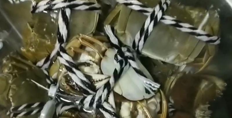 清蒸螃蟹配自制料汁的做法-家常味蒸菜譜-易網<a href=http://m.aoa7937.com/ target=_blank class=infotextkey>健康養(yǎng)生</a>網 清蒸螃蟹配自制料汁的做法-家常味蒸菜譜