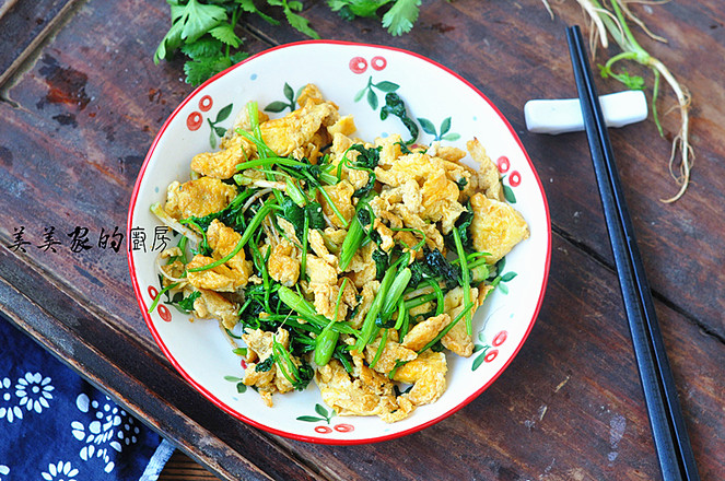 雞蛋炒香菜的做法-家常味炒菜譜-易網(wǎng)健康養(yǎng)生網(wǎng) 雞蛋炒香菜的做法-家常味炒菜譜