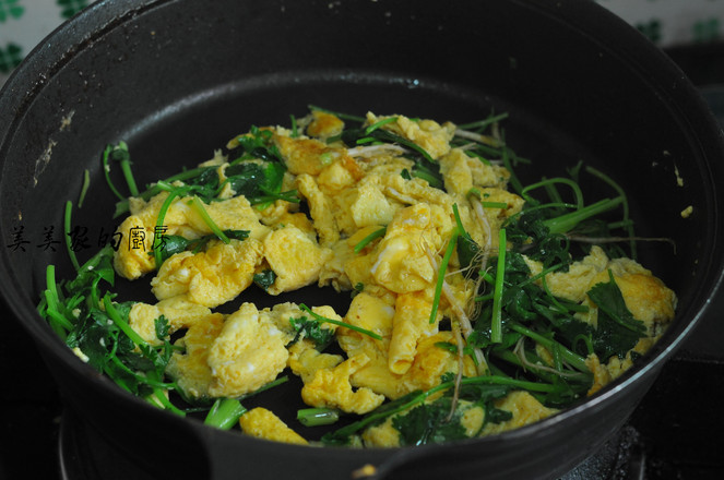 雞蛋炒香菜的做法-家常味炒菜譜-易網(wǎng)健康養(yǎng)生網(wǎng) 雞蛋炒香菜的做法-家常味炒菜譜