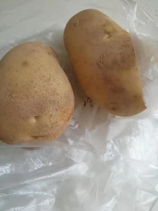 湖北武穴特色-自制Q彈土豆丸子的做法-家常味煮菜譜-易網(wǎng)<a href=http://m.aoa7937.com/ target=_blank class=infotextkey>健康養(yǎng)生</a>網(wǎng) 湖北武穴特色-自制Q彈土豆丸子的做法-家常味煮菜譜