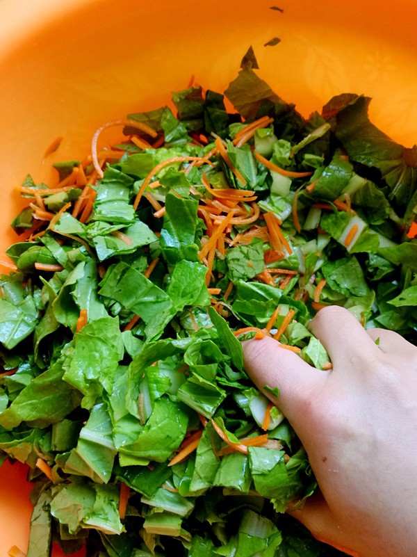 白菜蒸餃的做法-咸鮮味蒸菜譜-易網健康養生網 白菜蒸餃的做法-咸鮮味蒸菜譜