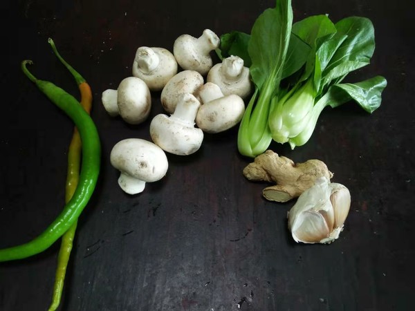 蠔油口蘑的做法-咸鮮味炒菜譜