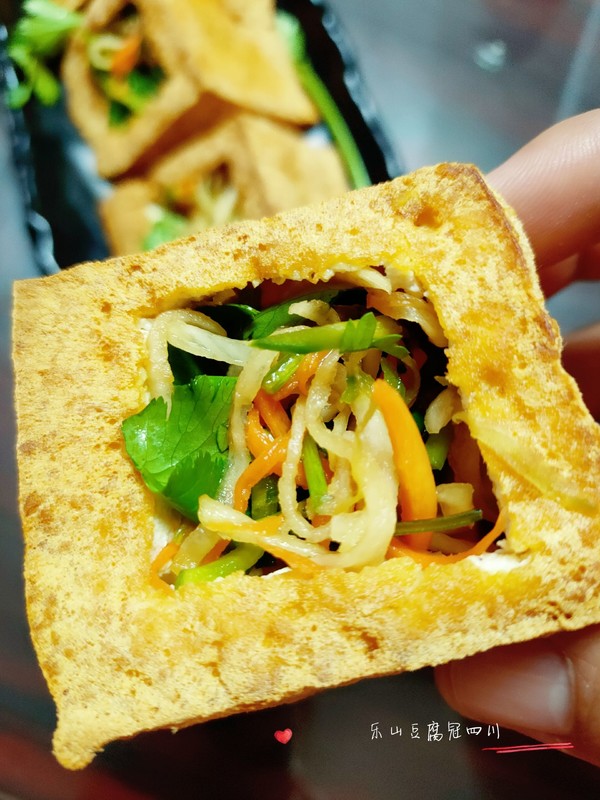 樂山脆豆腐的做法-家常味其它工藝菜譜-易網健康養生網 樂山脆豆腐的做法-家常味其它工藝菜譜