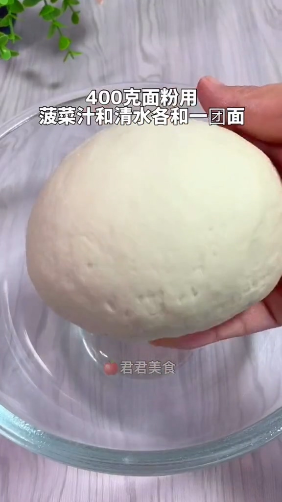 白菜蒸餃的做法-家常味蒸菜譜