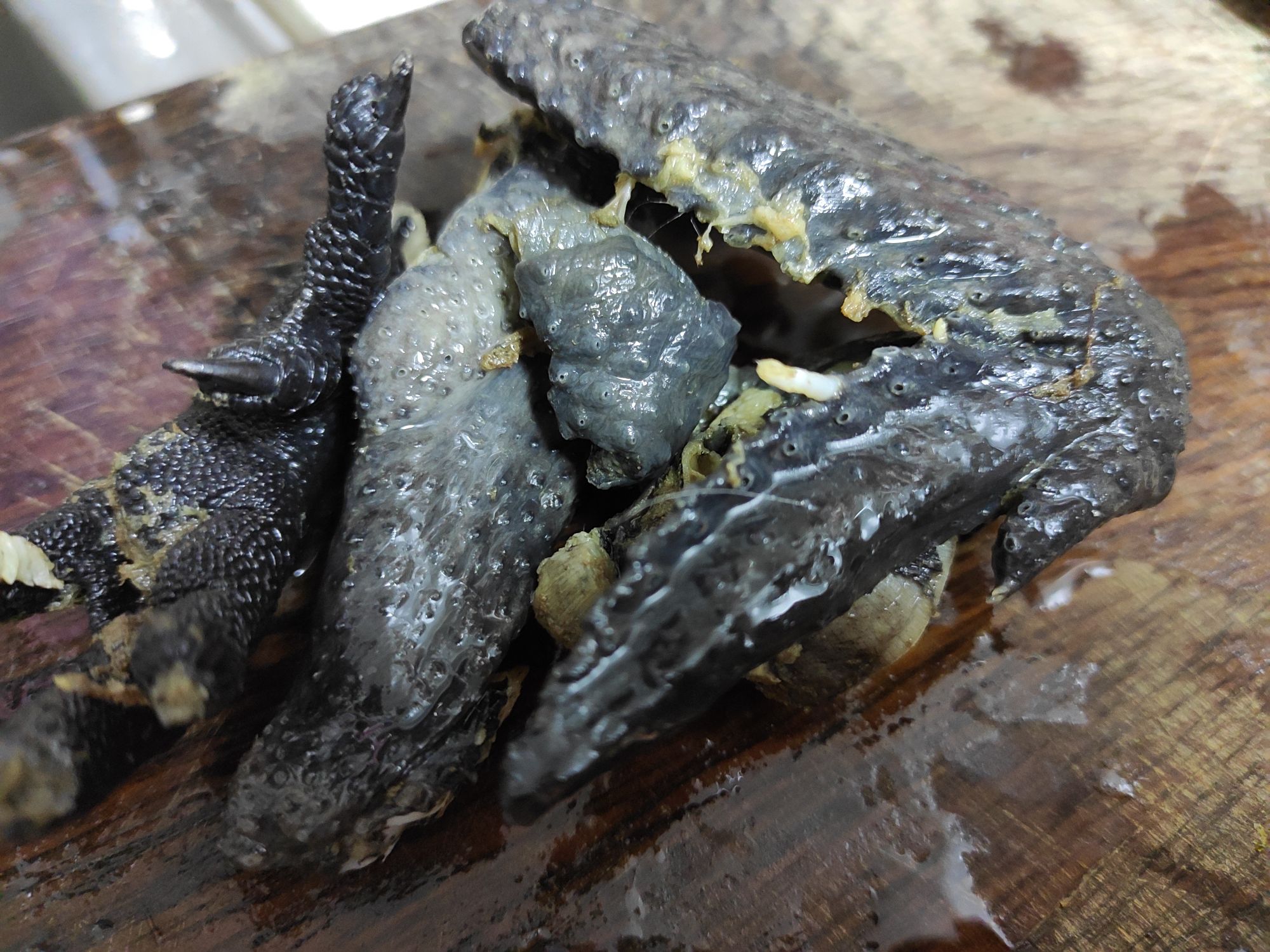老酒燉烏雞，滋補好湯的做法-家常味燉菜譜