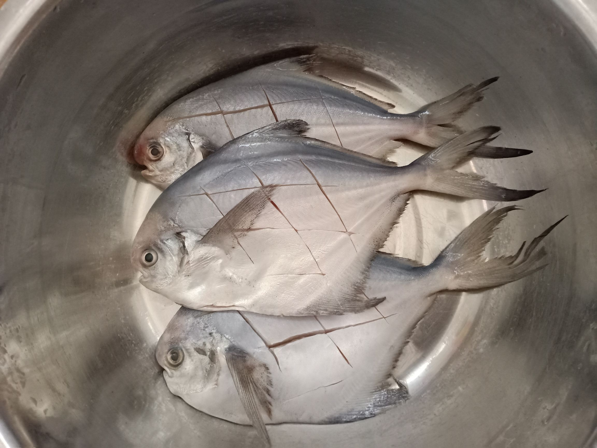 香煎鯧魚的做法-咸鮮味煎菜譜