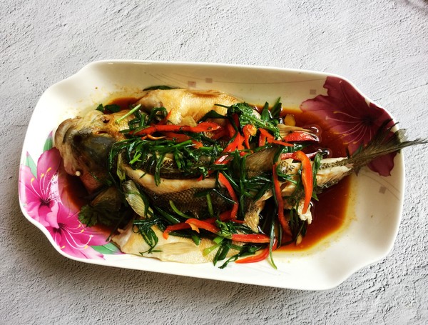 蔥香鱸魚的做法-家常味蒸菜譜-易網健康養生網 蔥香鱸魚的做法-家常味蒸菜譜