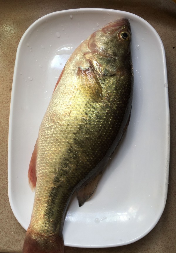 蔥香鱸魚的做法-家常味蒸菜譜-易網<a href=http://m.aoa7937.com/ target=_blank class=infotextkey>健康養生</a>網 蔥香鱸魚的做法-家常味蒸菜譜