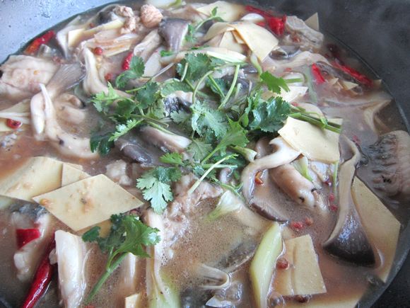 蘑菇燉鯉魚的做法-家常味燉菜譜
