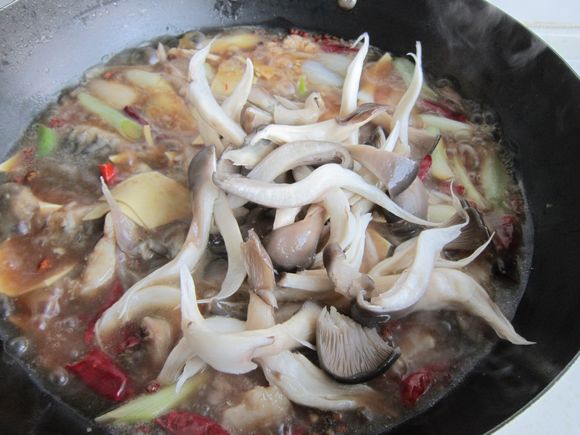 蘑菇燉鯉魚的做法-家常味燉菜譜