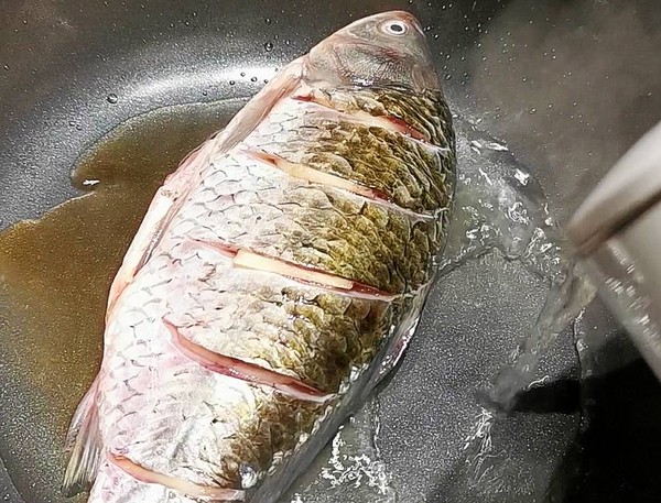 清蒸鯉魚的做法-咸鮮味蒸菜譜-易網健康養生網 清蒸鯉魚的做法-咸鮮味蒸菜譜