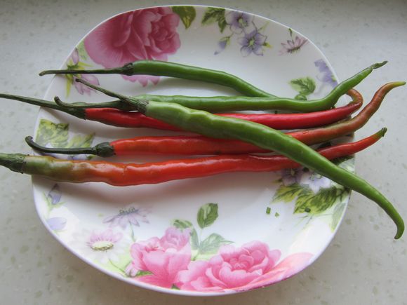 雙椒豆豉炒肉絲的做法-咸鮮味炒菜譜