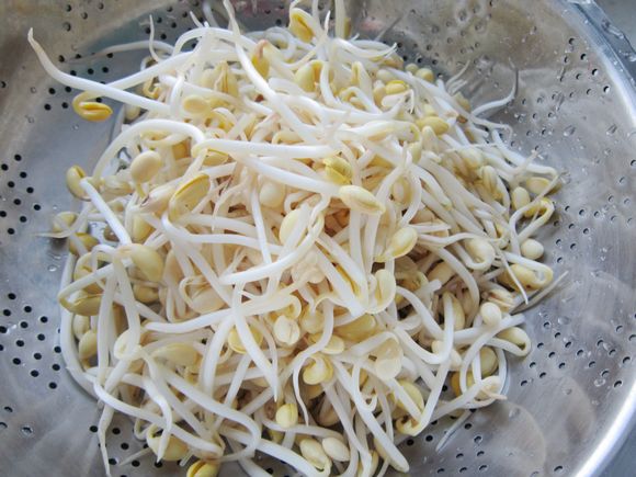 黃豆芽燉排骨的做法-咸鮮味燉菜譜