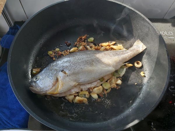 XO醬燒黃花魚的做法-香辣味燉菜譜-易網健康養生網 XO醬燒黃花魚的做法-香辣味燉菜譜