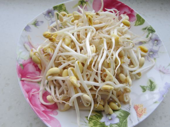 黃豆芽燉排骨的做法-咸鮮味燉菜譜