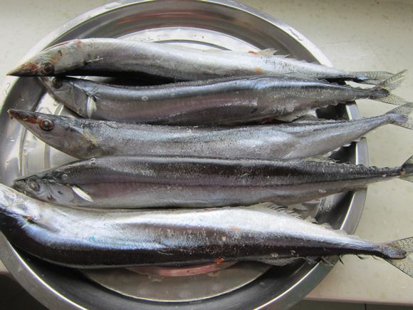 孜然烤秋刀魚的做法-家常味烤菜譜-易網<a href=http://m.aoa7937.com/ target=_blank class=infotextkey>健康養生</a>網 孜然烤秋刀魚的做法-家常味烤菜譜