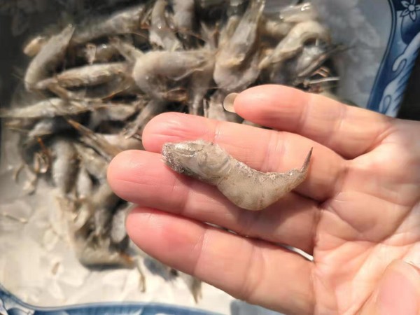 開(kāi)胃河蝦的做法-酸甜味炒菜譜
