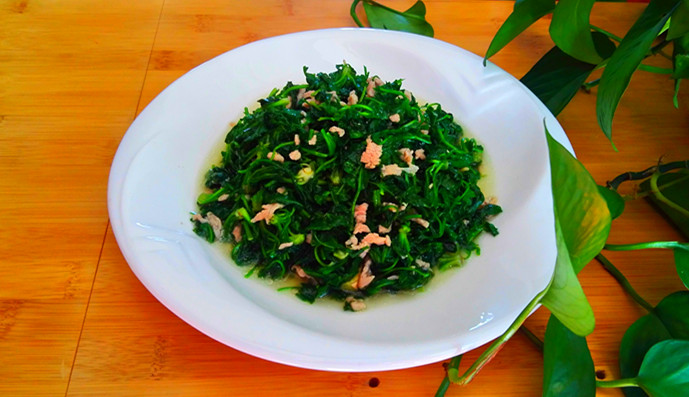 薺菜炒肉絲的做法-咸鮮味炒菜譜-易網(wǎng)健康養(yǎng)生網(wǎng) 薺菜炒肉絲的做法-咸鮮味炒菜譜
