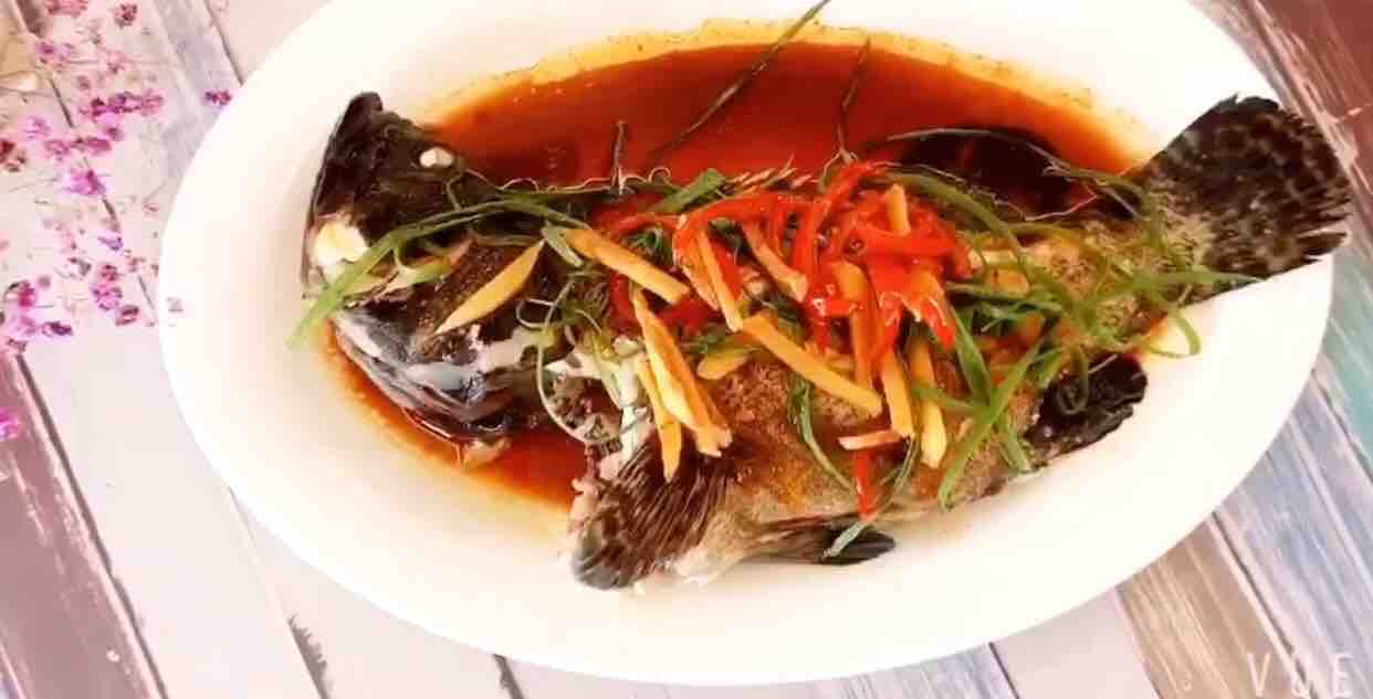 清蒸龍躉魚的做法-咸鮮味蒸菜譜-易網健康養生網 清蒸龍躉魚的做法-咸鮮味蒸菜譜