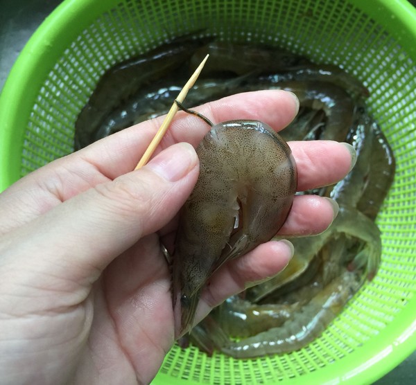 白灼蝦的做法-家常味蒸菜譜-易網健康養生網 白灼蝦的做法-家常味蒸菜譜