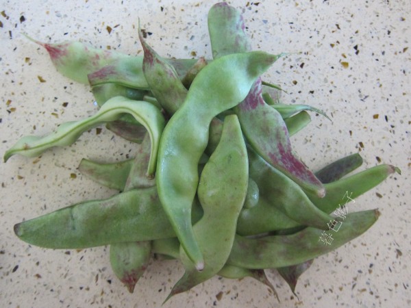 燜燉油豆角的做法-家常味燉菜譜-易網<a href=http://m.aoa7937.com/ target=_blank class=infotextkey>健康養(yǎng)生</a>網 燜燉油豆角的做法-家常味燉菜譜