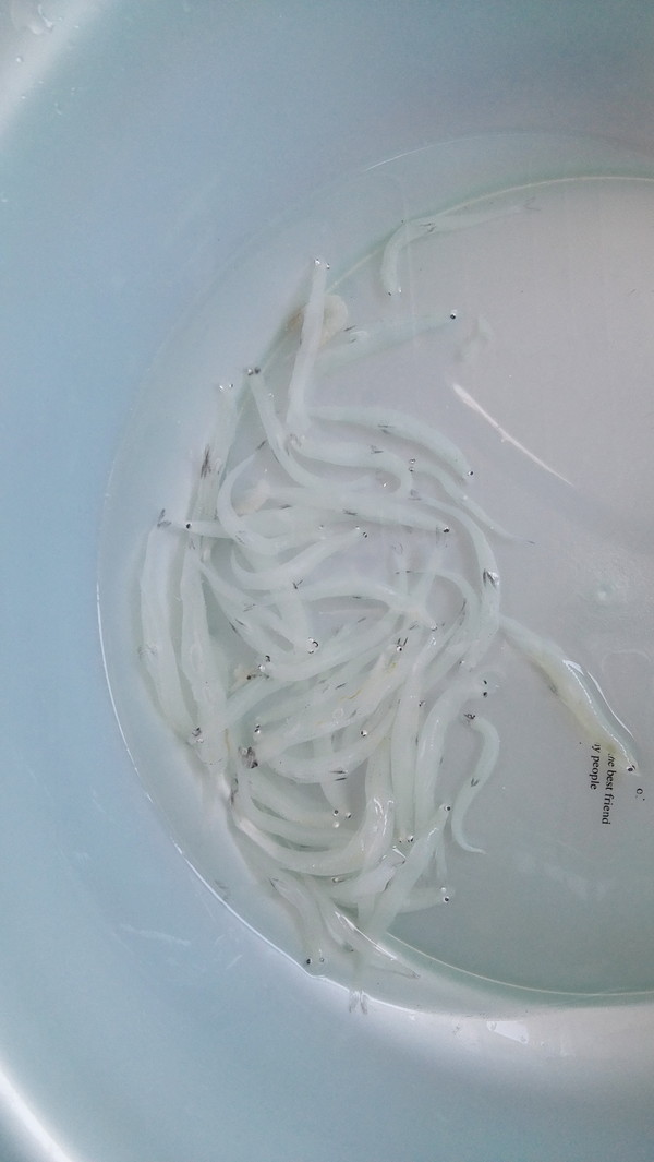 銀魚蒸蛋的做法-咸鮮味蒸菜譜