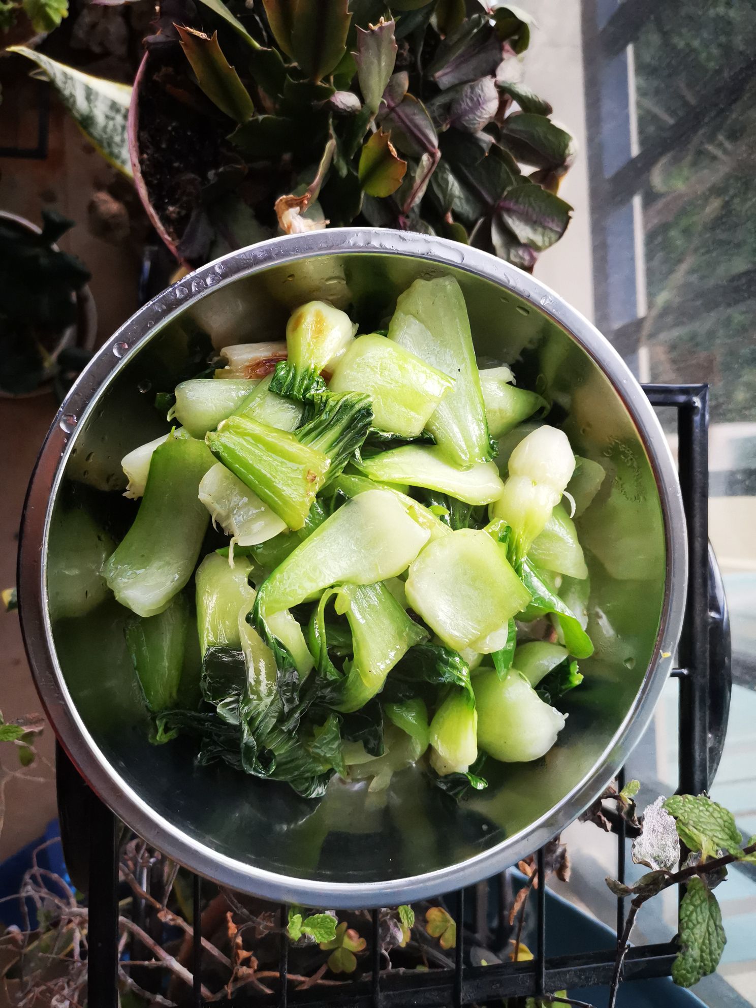 青椒小油菜的做法-家常味炒菜譜