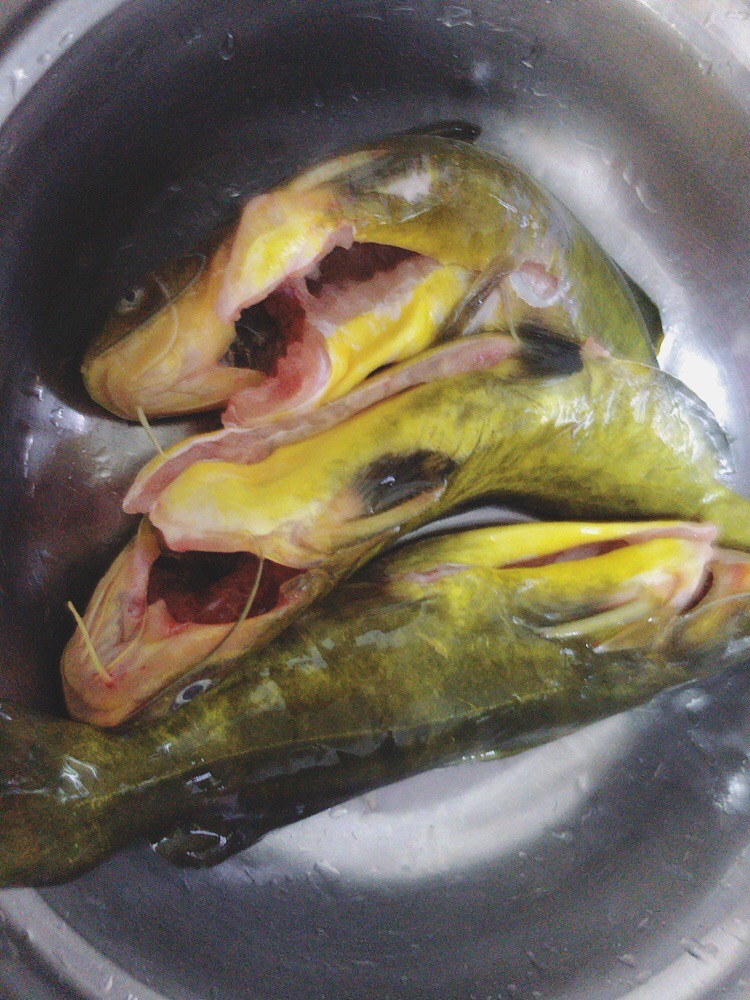 黃骨魚燉豆腐的做法-香辣味燉菜譜