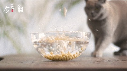 黃豆燒豬尾!超級好吃的家常菜,學(xué)會了這道菜,誰還去吃紅燒肉和大豬蹄子啊?的做法-咸鮮味燒菜譜-易網(wǎng)<a href=http://m.aoa7937.com/ target=_blank class=infotextkey>健康養(yǎng)生</a>網(wǎng) 黃豆燒豬尾!超級好吃的家常菜,學(xué)會了這道菜,誰還去吃紅燒肉和大豬蹄子啊?的做法-咸鮮味燒菜譜