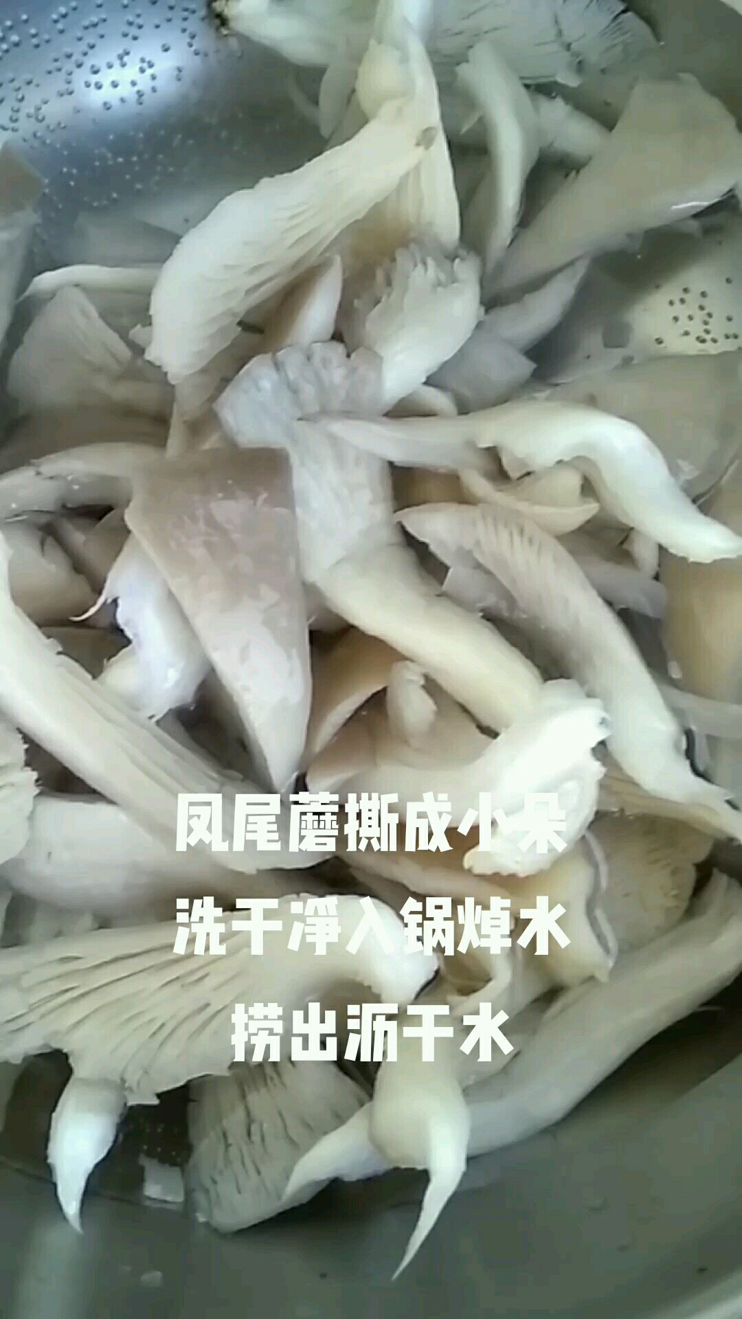 雞蛋炒鳳尾蘑的做法-咸鮮味炒菜譜