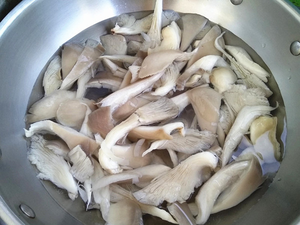 鳳尾蘑炒油菜的做法-家常味炒菜譜